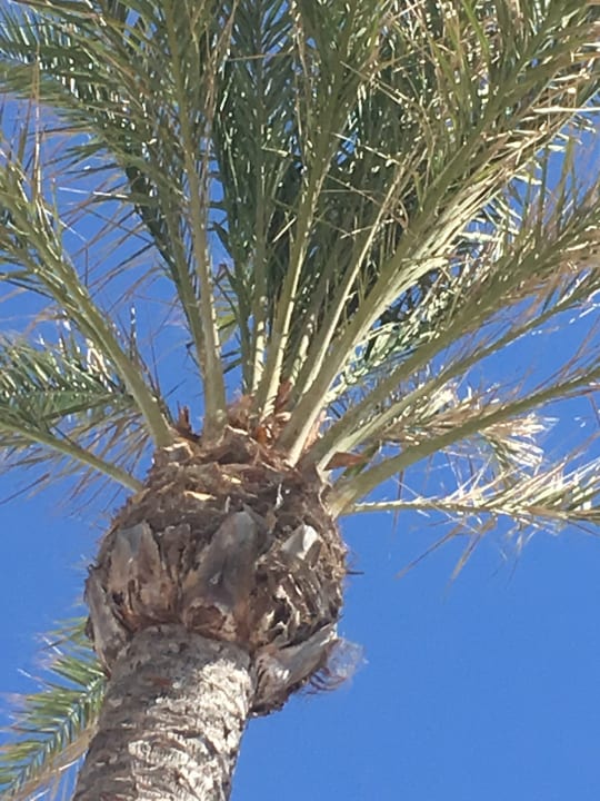 Sonstiges Hipotels Flamenco