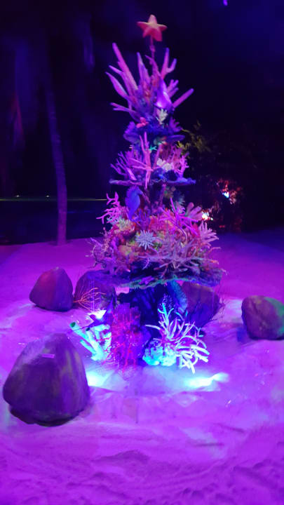 Sonstiges Summer Island Maldives