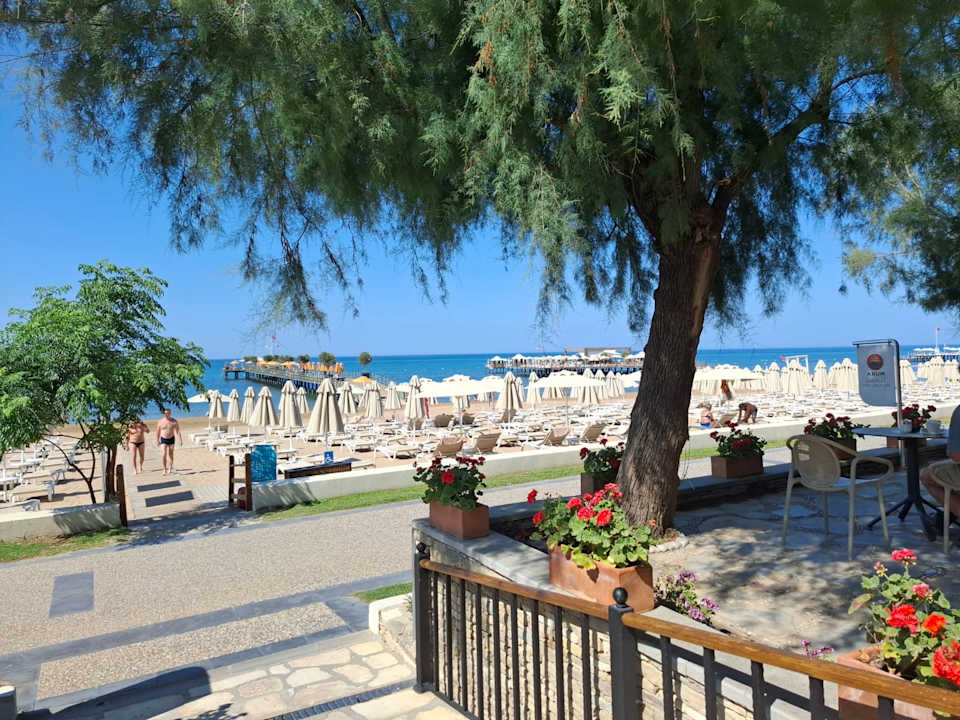 Strand Arum Barut Collection