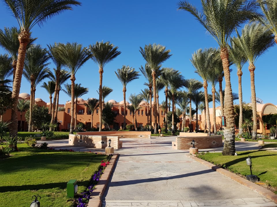 Gartenanlage Jaz Makadi Oasis Resort