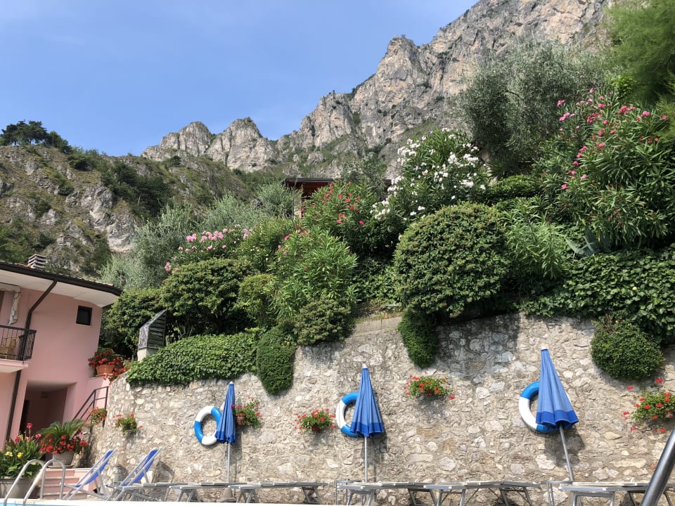 Gartenanlage Relax Hotel Villa La Gardenia & Oleandra