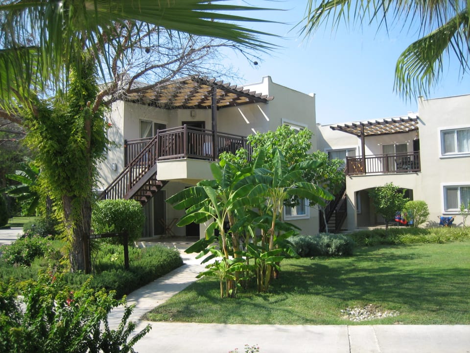 Wille Marvida Family Eco