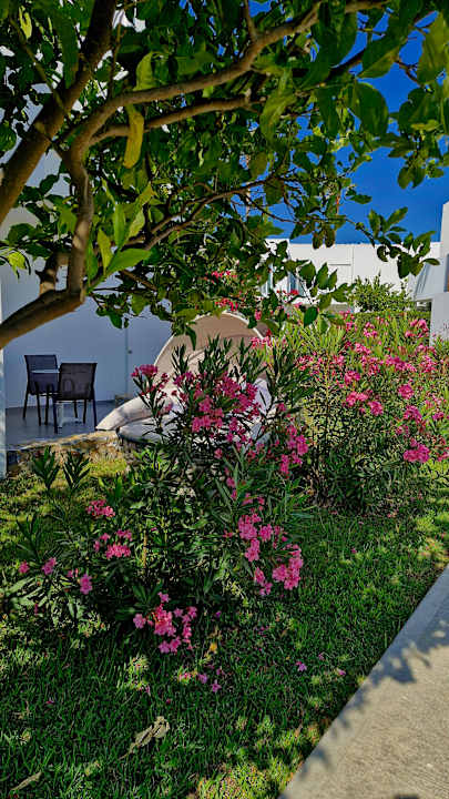 Gartenanlage Summer Village of Hippokrates - Adults only