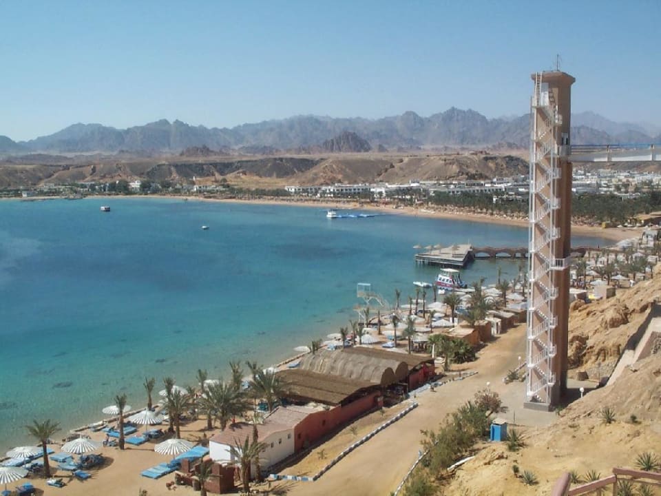 Альбатрос шарм номера. Альбатрос модерна шарм-эль-шейх. Beach albatros sharm) 4*. Отель альбатрос шарм-эль-шейх. Альбатрос шарм номера.