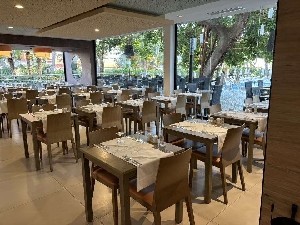 Gastro Hotel Riu Festival