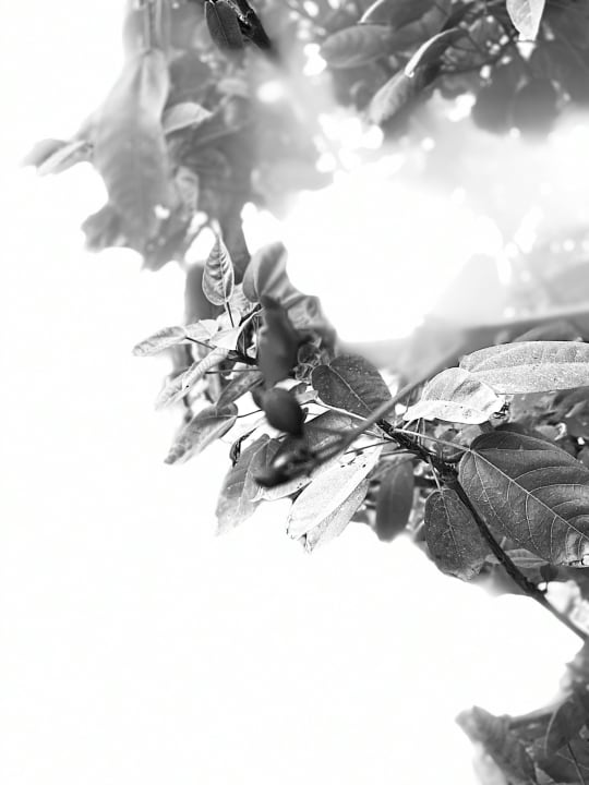 Außenansicht Grand Makadi