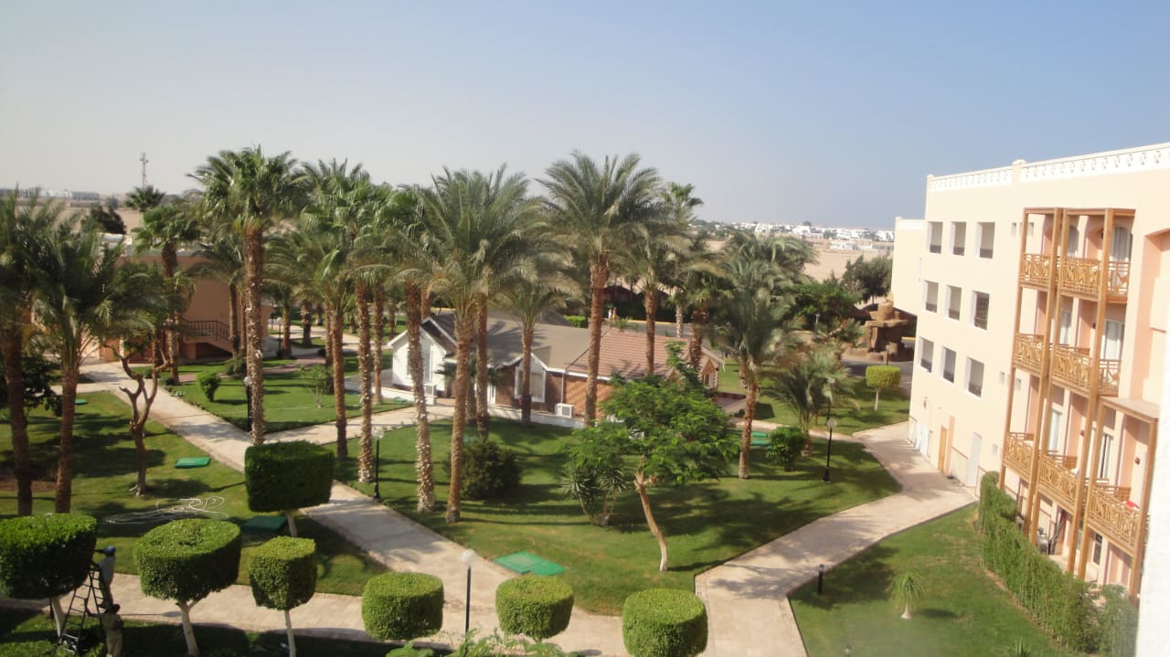 Кусочек территории. Beach Albatros Resort