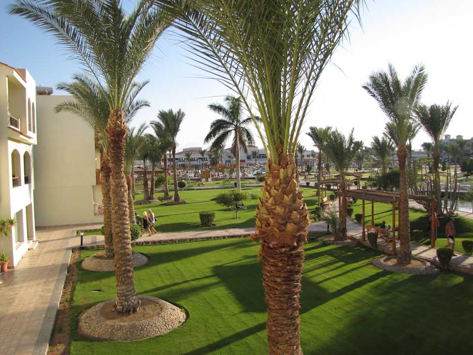 Blick von unserem Zimmer Pickalbatros Dana Beach Resort - Hurghada