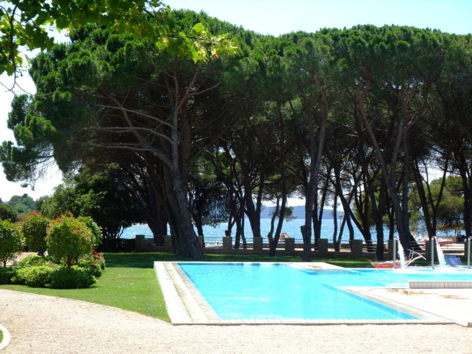 Der wunderbare Pool Falkensteiner Hotel Adriana