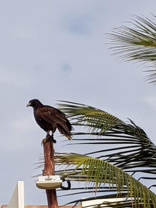 Sonstiges Akumal Bay Beach & Wellness Resort