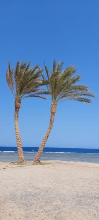 Strand Malikia Resort Abu Dabbab