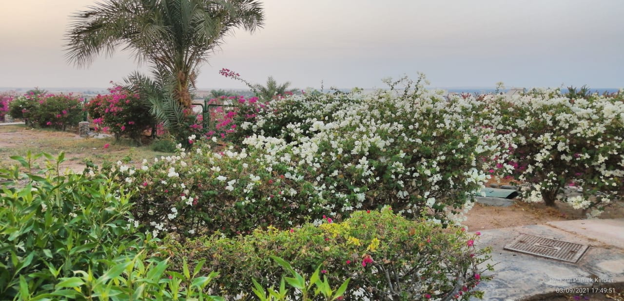 Gartenanlage Hurghada Long Beach Resort