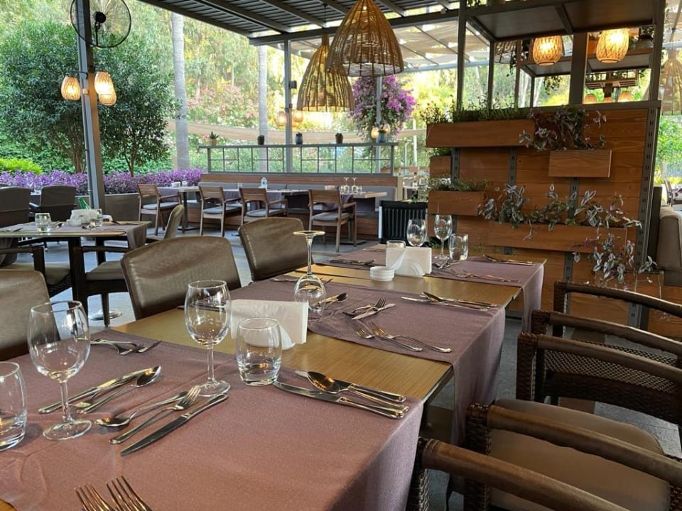 Gastro Arum Barut Collection