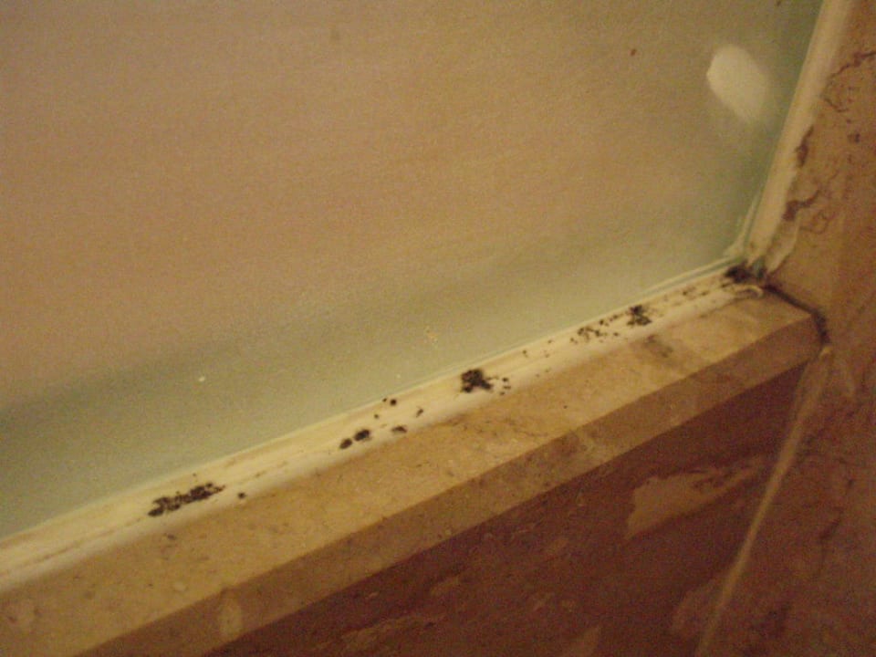 Schimmel im Bad Khaolak Oriental Resort - Adults only