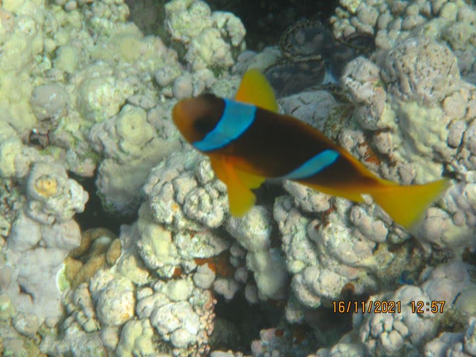 Sport & Freizeit Cleopatra Luxury Resort Makadi Bay