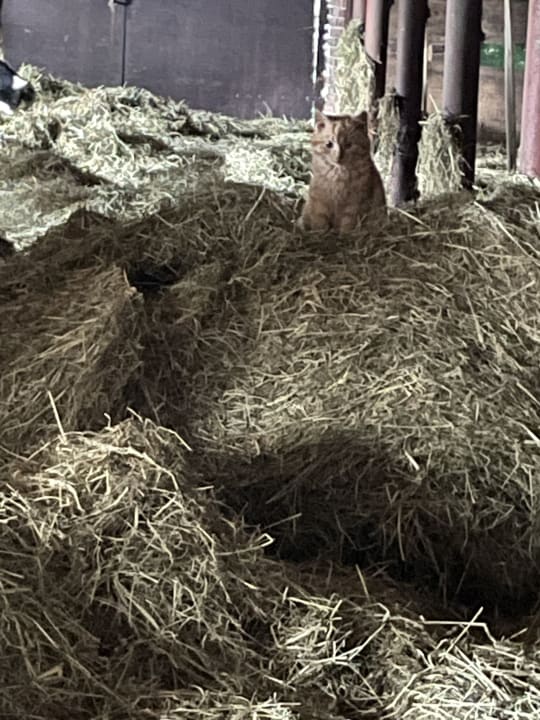 Sport & Freizeit Ferienhof Röhling