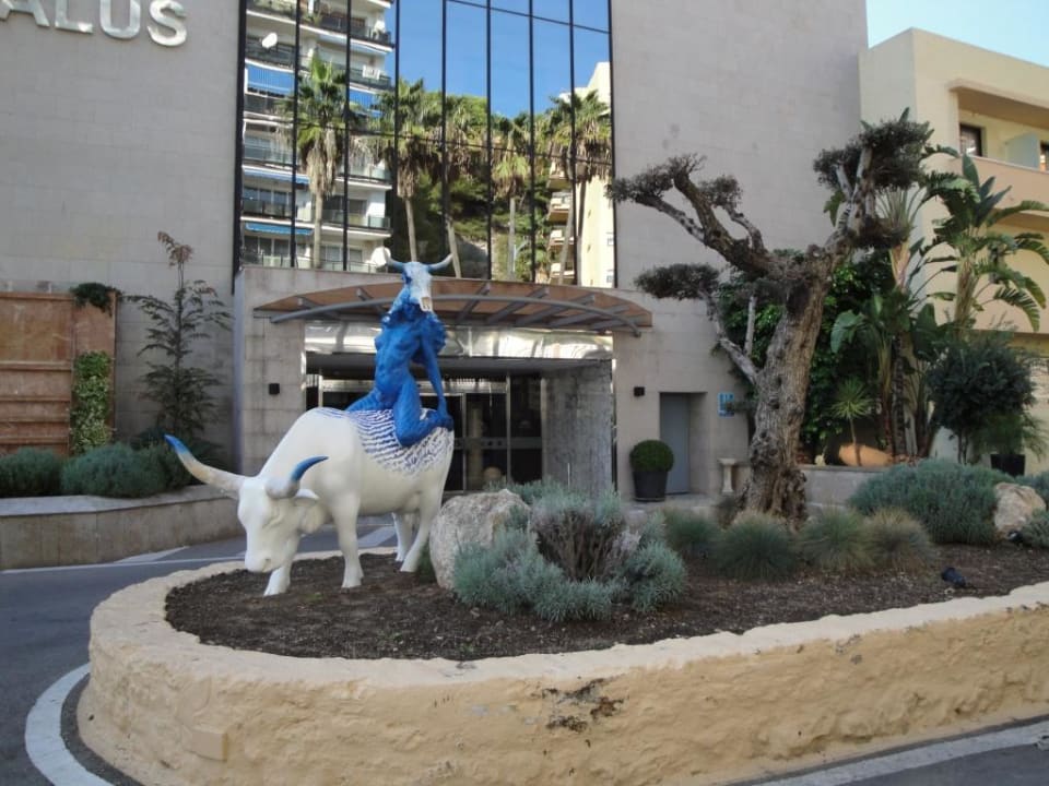 Przed wejściem BLUESEA Al Andalus