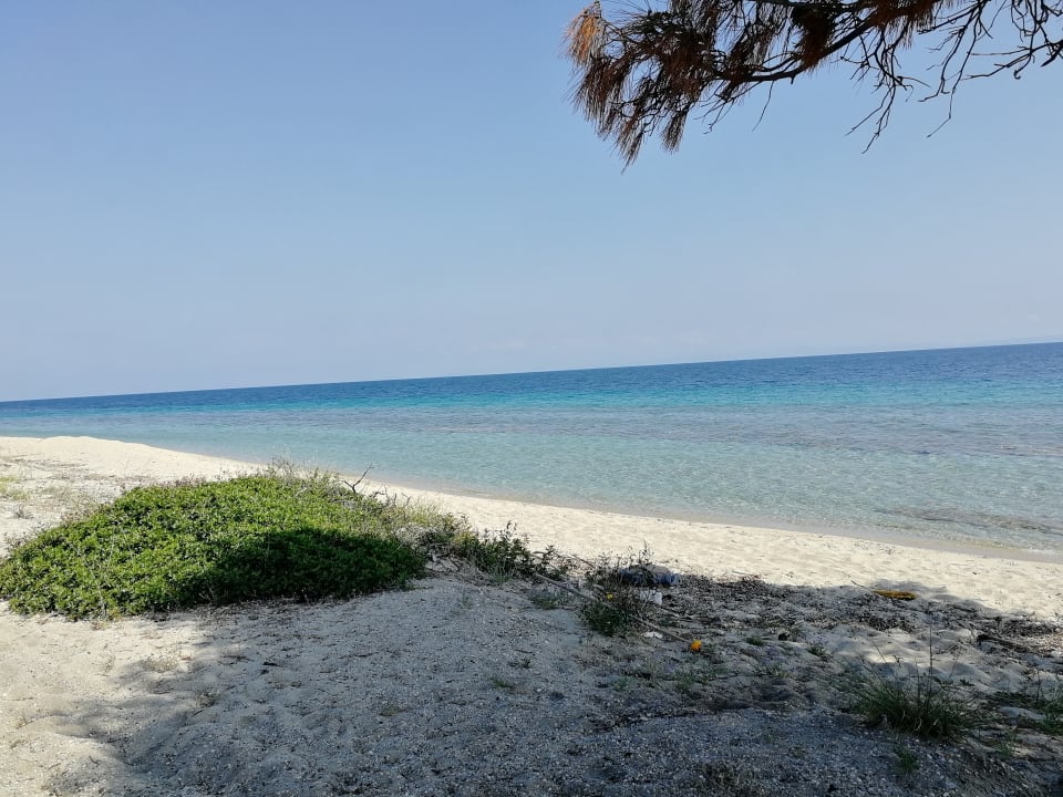 Strand Alia Palace