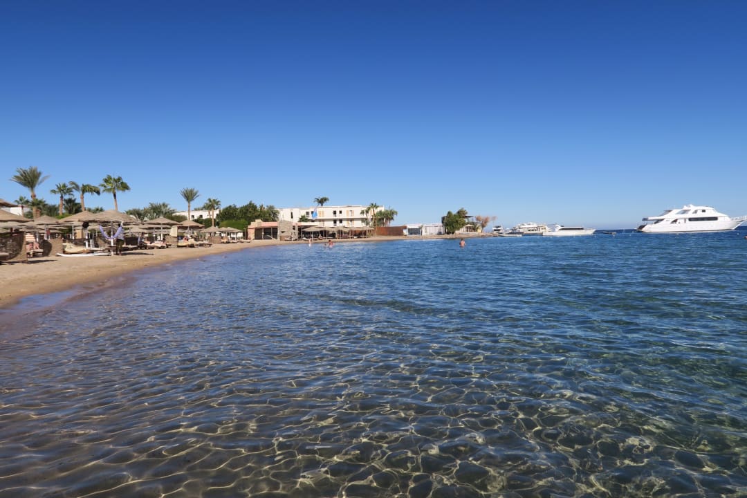 Strand Eagles Paradise Abu Soma
