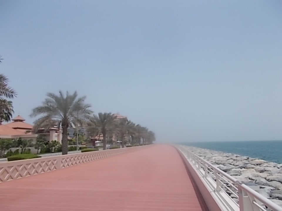 Ausblick Anantara The Palm Dubai Resort