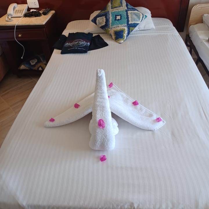 Zimmer Malikia Resort Abu Dabbab