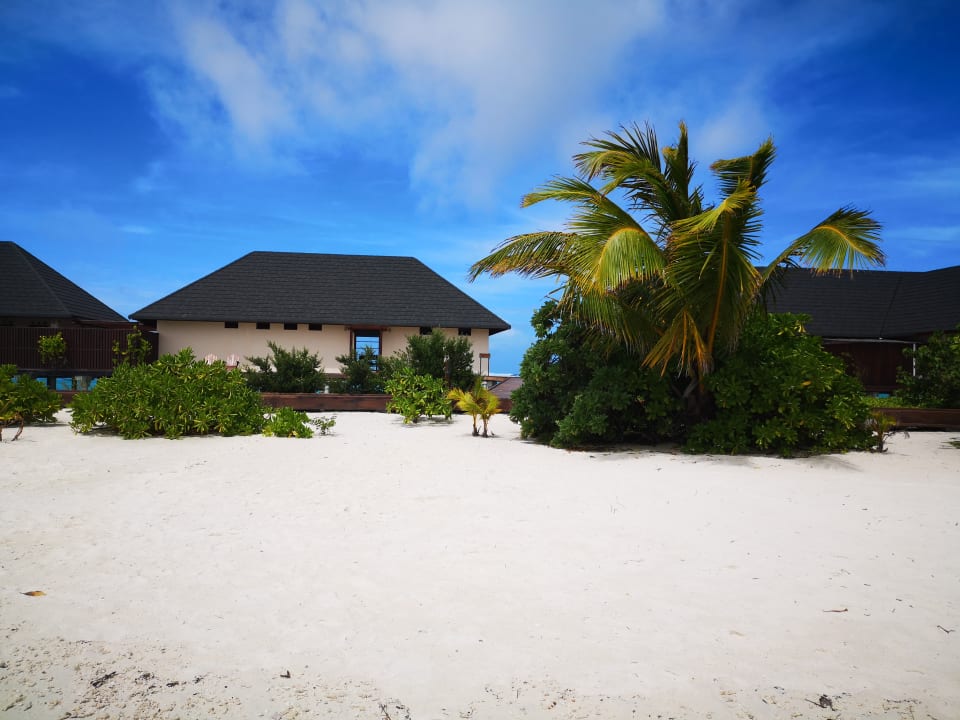 Gartenanlage Summer Island Maldives