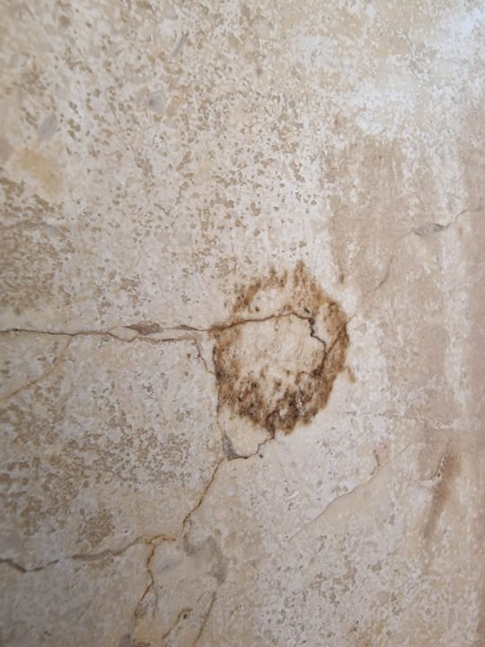 Zimmer Pickalbatros Citadel Resort