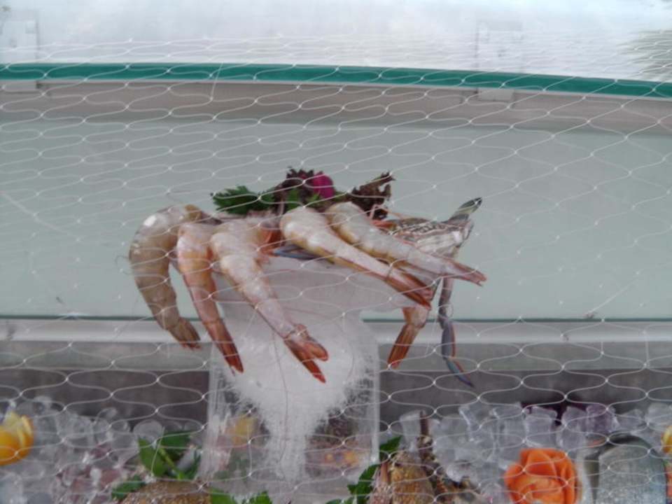 Das Feinste vom Feinsten Ghazala Beach