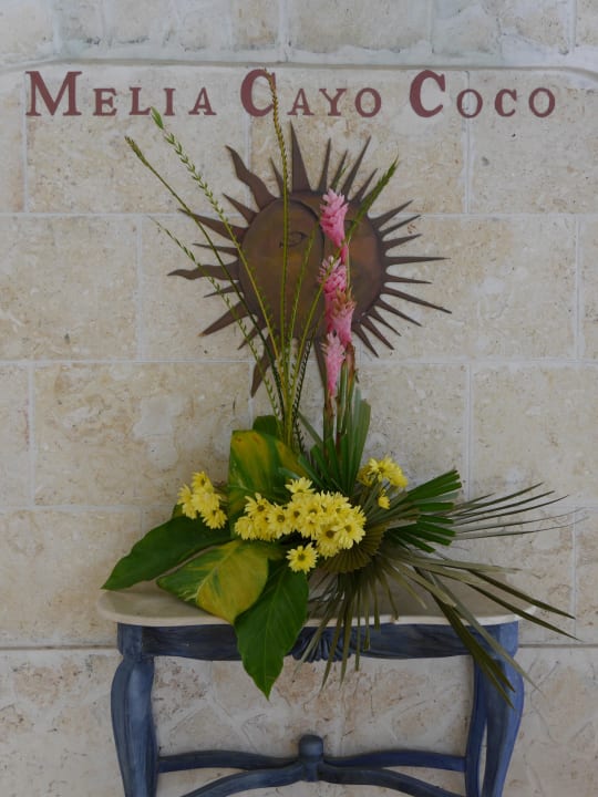 Eingangsbereich Hotel Melia Cayo Coco - Adults only