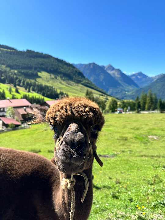 Gartenanlage Oberjoch - Familux Resort