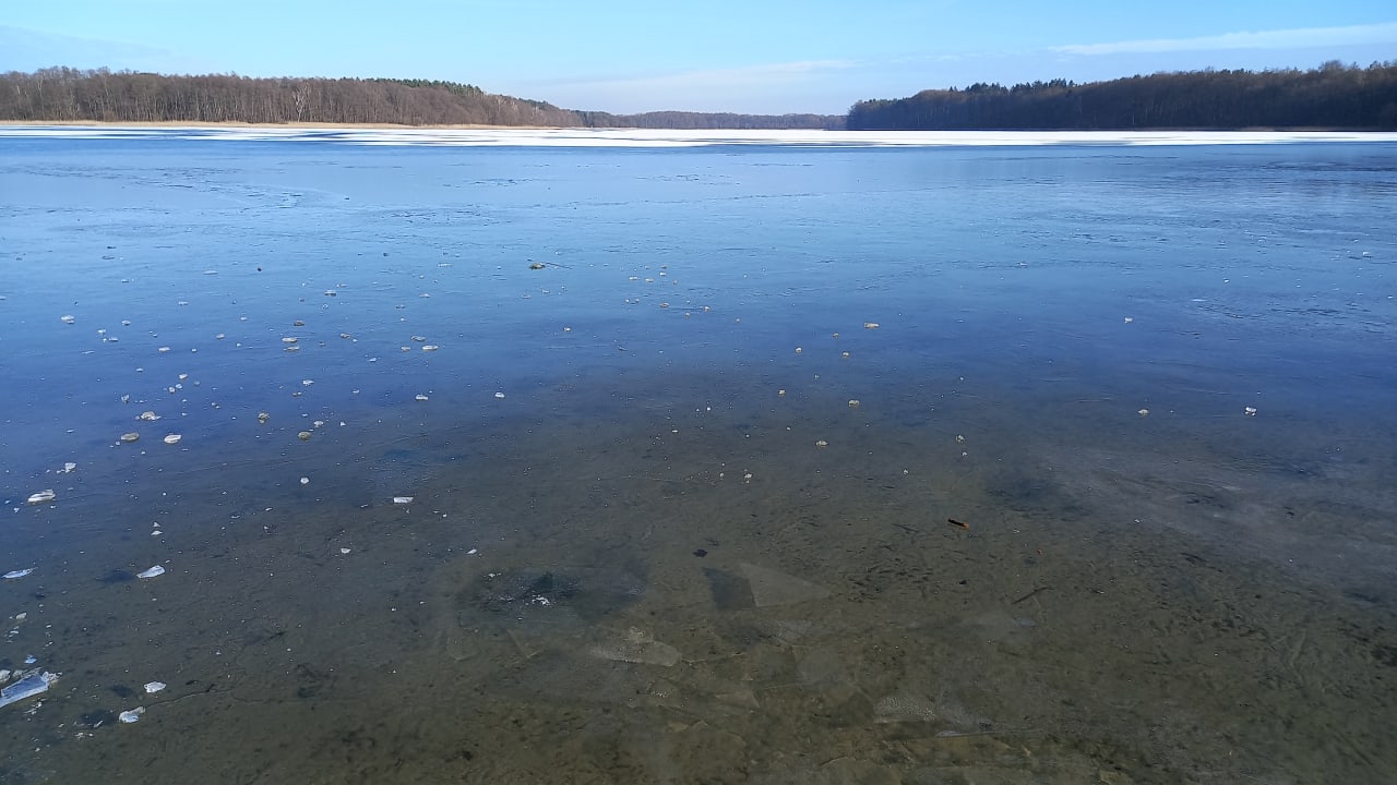 Ausblick AHORN Seehotel Templin