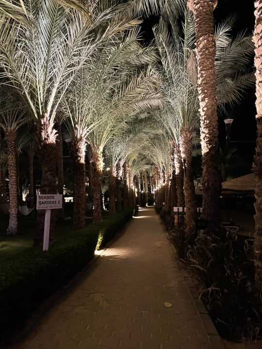 Gartenanlage Fort Arabesque Resort, Spa & Villas