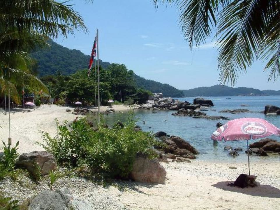 Schnorchel-Strand Hotel Coral View Island Resort