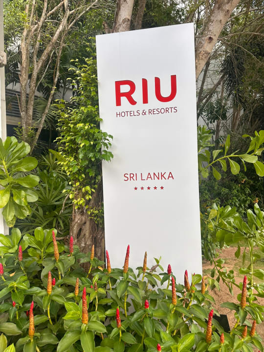 Gartenanlage Hotel Riu Sri Lanka
