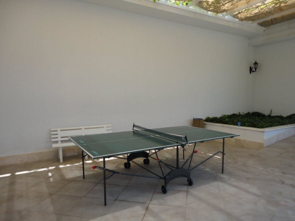Stół do ping ponga Alba Queen Hotel