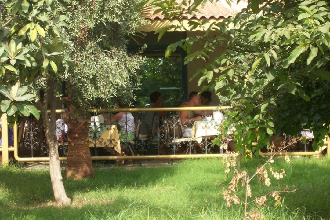 Blick zum Außenbereich des Restaurants Side Alegria Hotel & Spa - Adults only +16