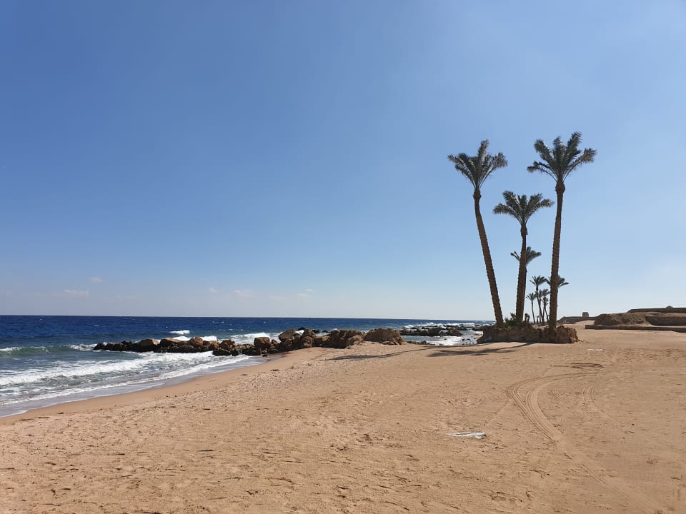 Strand Pickalbatros Citadel Resort