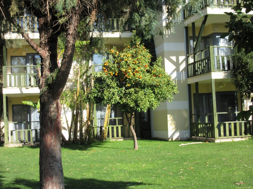 Арикандо Limak Limra Hotel & Resort