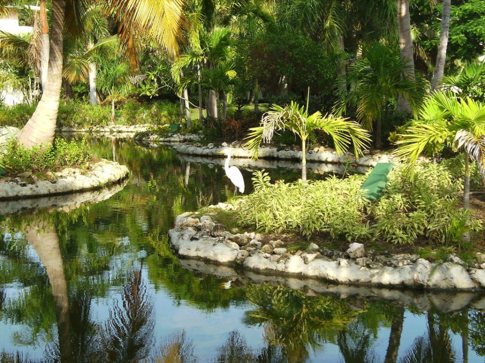 Der See Catalonia Punta Cana - All Inclusive