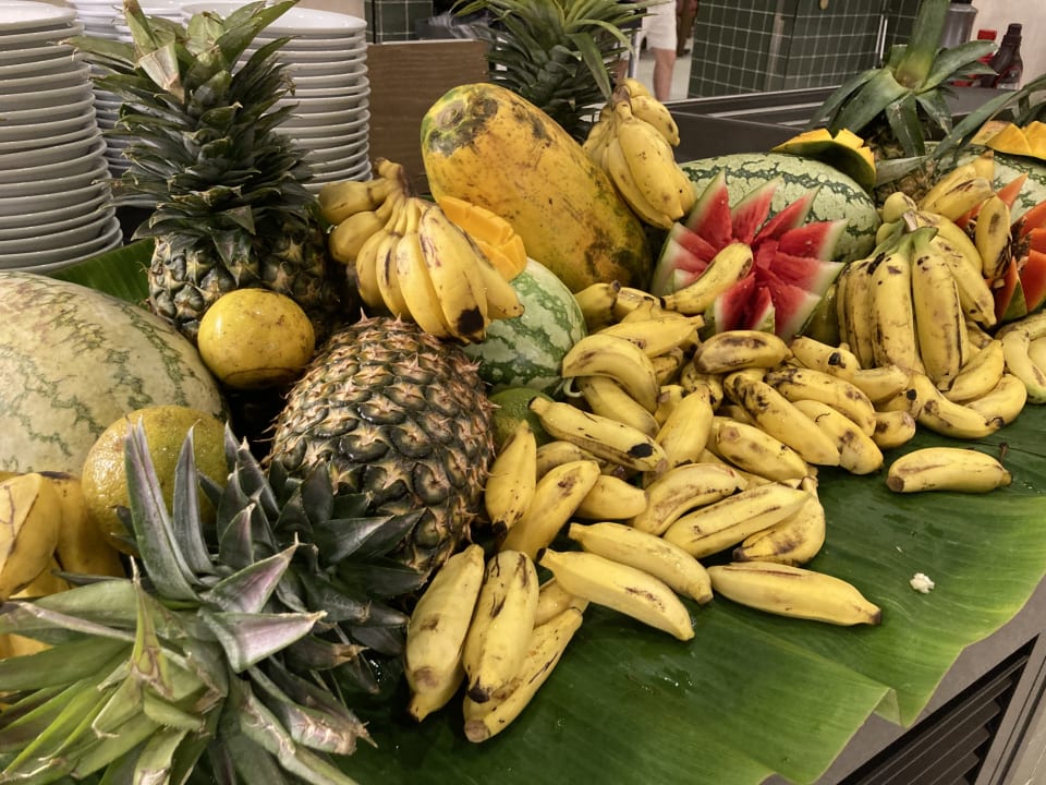 Gastro Hotel Riu Jambo