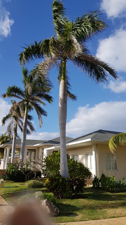 Garten Paradisus Varadero Resort & Spa