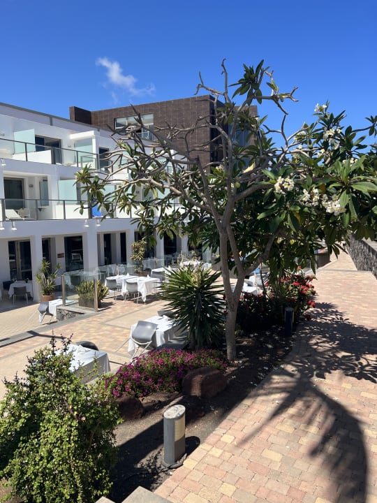 Außenansicht R2 Bahía Playa Design Hotel & Spa - Adults Only