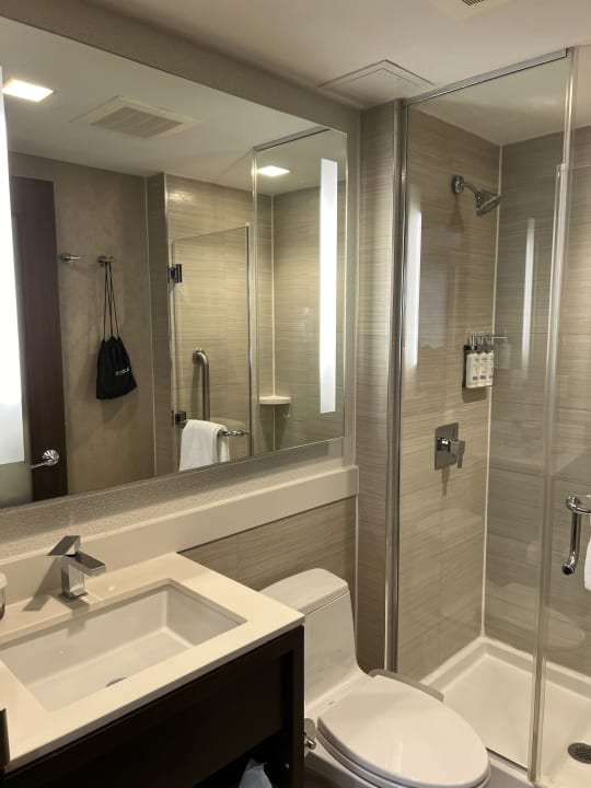 Zimmer Holiday Inn Brooklyn Downtown