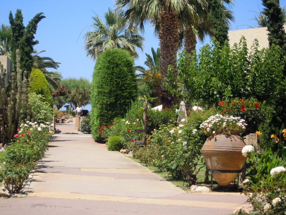 Weg zum Strand Phãea Cretan Malia