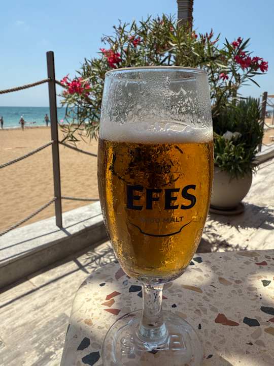 Gastro Seashell Vega