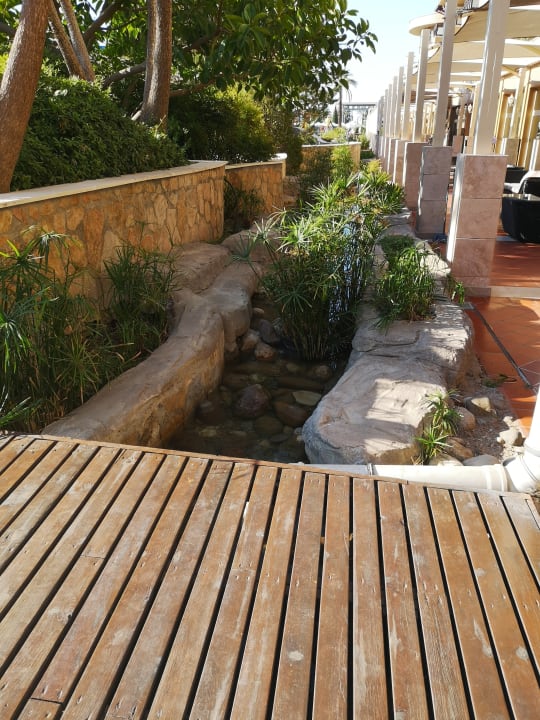 Gartenanlage TUI BLUE Xanthe