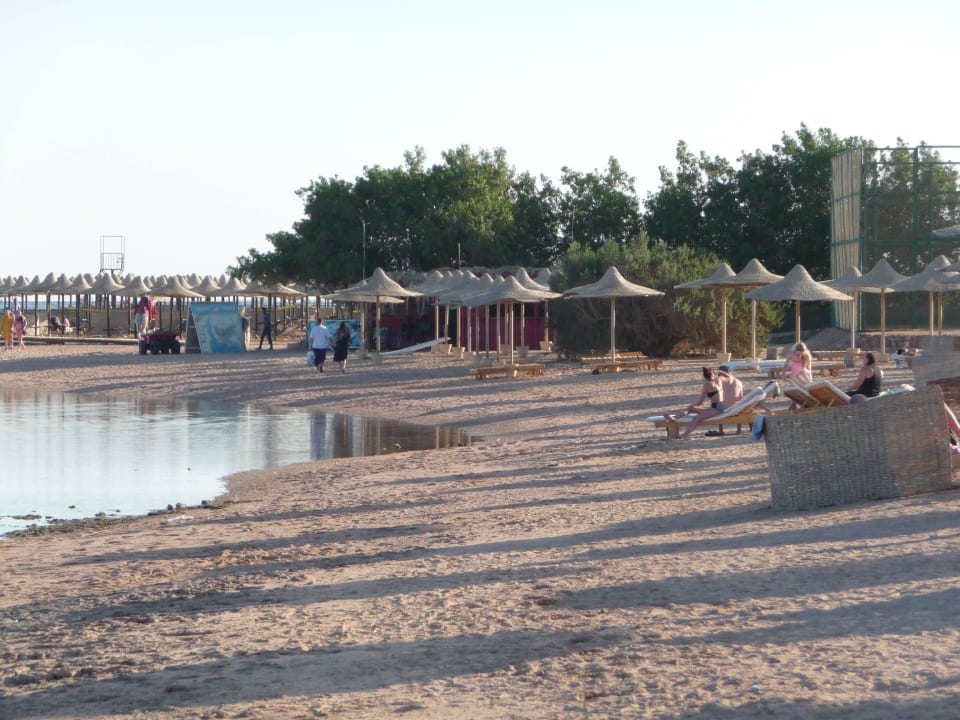 Plaża Pickalbatros Royal Moderna Resort-Sharm El Sheikh
