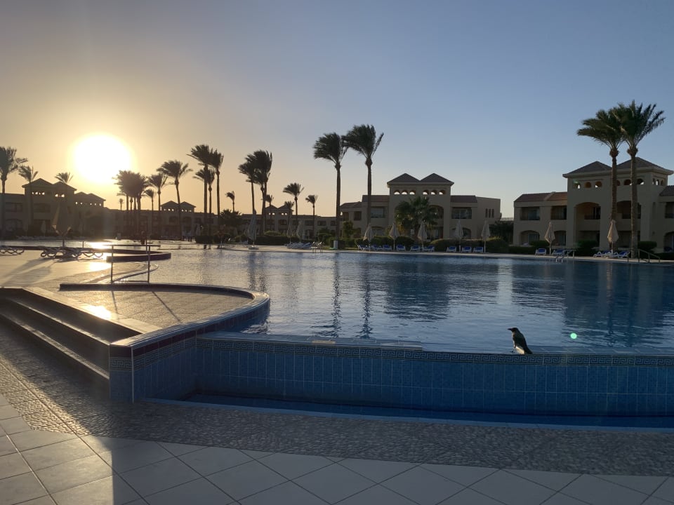 Pool Cleopatra Luxury Resort Makadi Bay