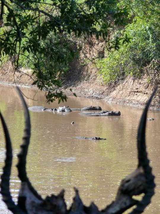 Ohne Worte Royal Mara Safari Lodge