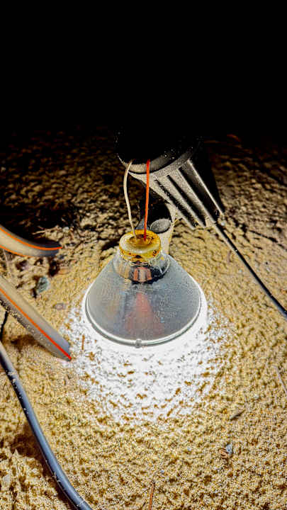 Gartenanlage Santhiya Koh Yao Yai Resort & Spa